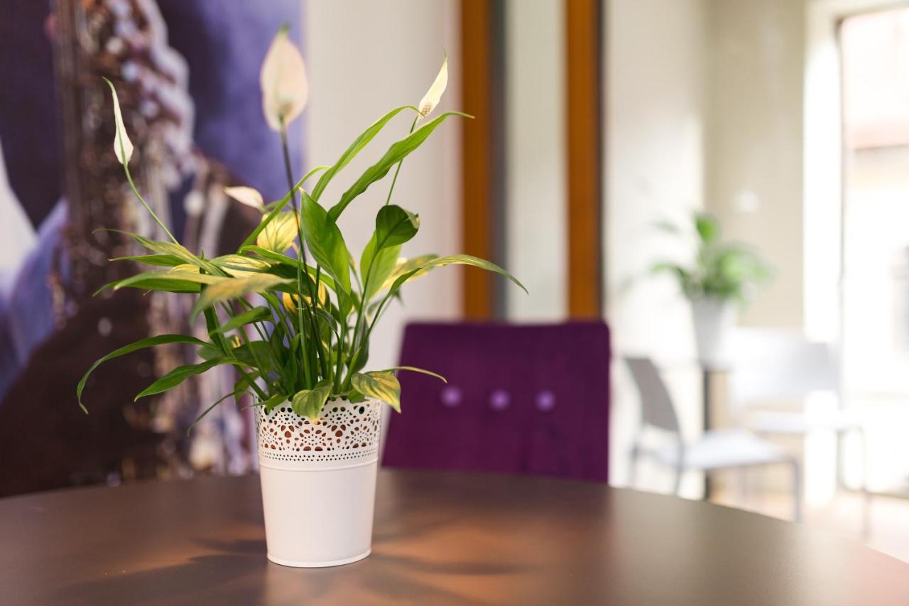 Modernes Apartment Am Neumarkt Drezno Zewnętrze zdjęcie